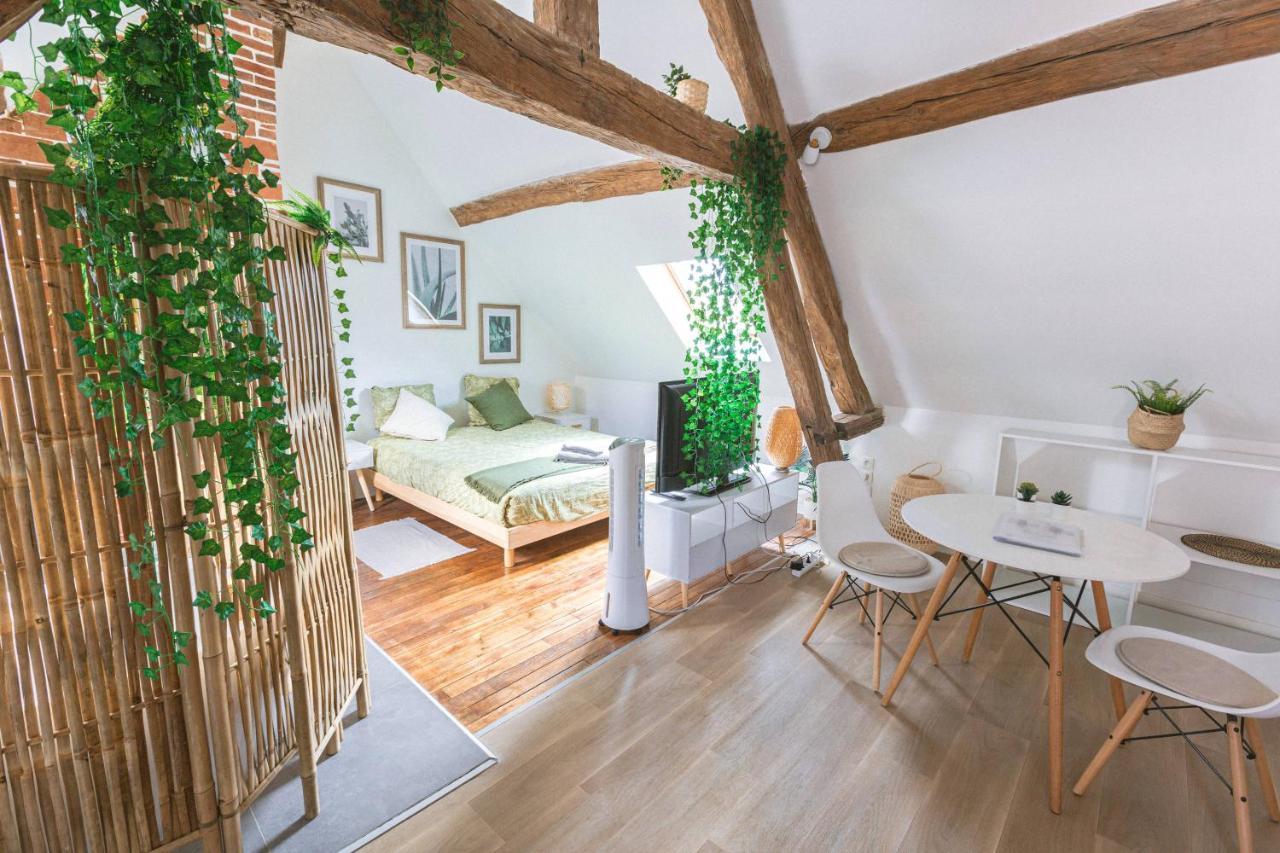Au Zen Garden Apartment Auxerre Luaran gambar
