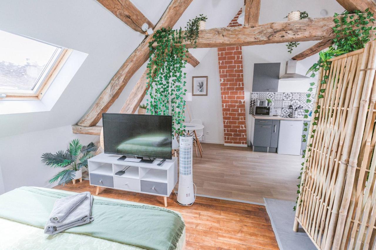Au Zen Garden Apartment Auxerre Luaran gambar